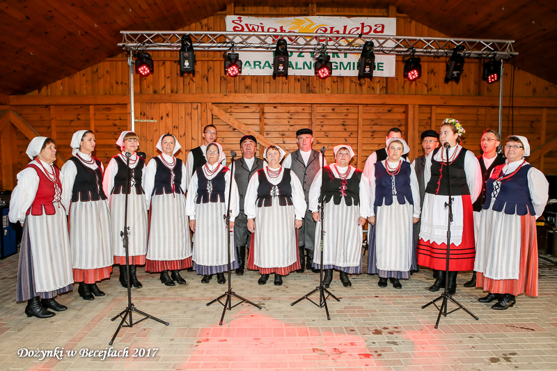 Doynki w Becejach
                            2017