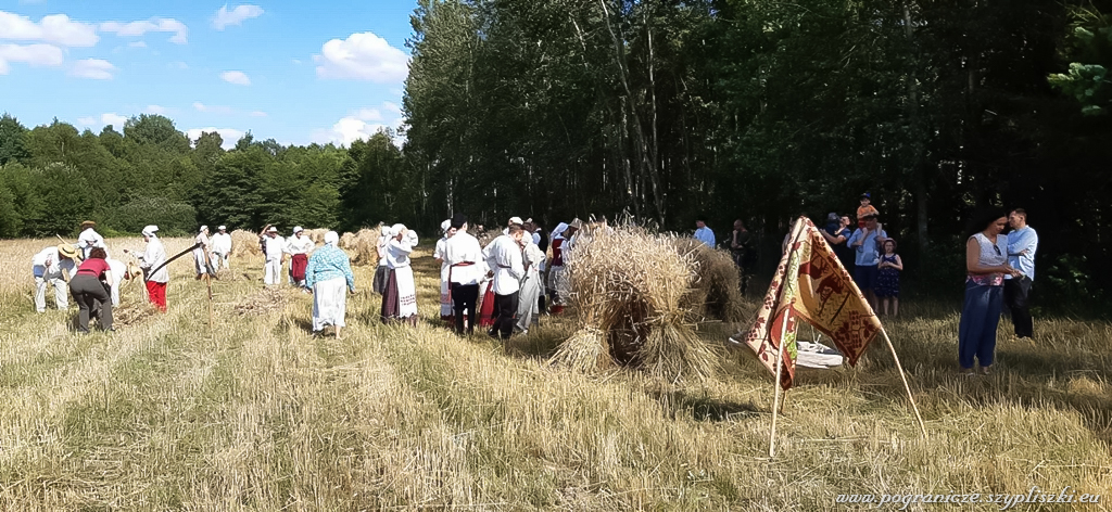 XVI Podlasko-Poleskie Spotkania niwne
                            „Ole po boru chodit” w Studziwodach