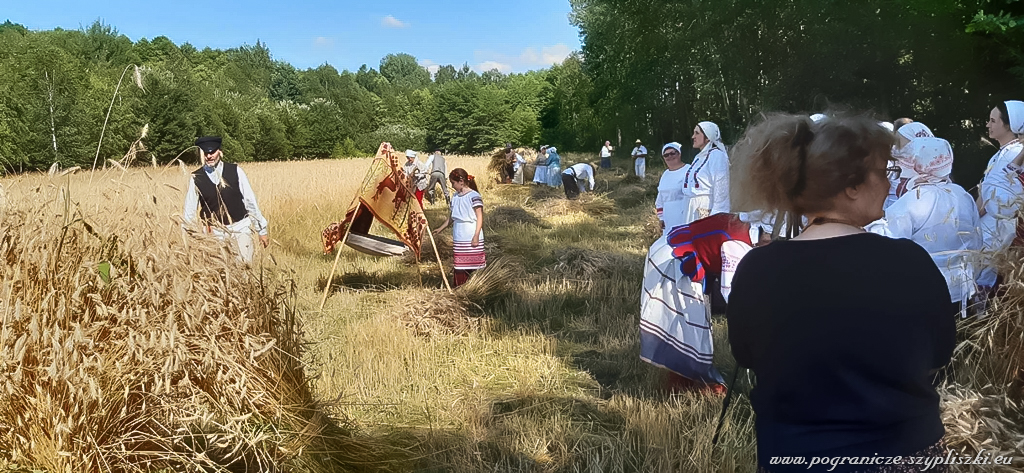 XVI Podlasko-Poleskie Spotkania niwne
                            „Ole po boru chodit” w Studziwodach