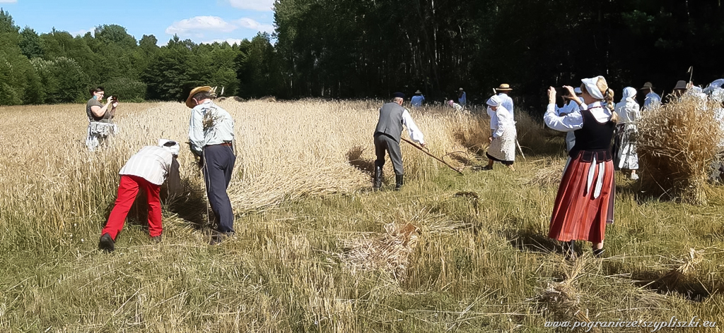 XVI Podlasko-Poleskie Spotkania niwne
                            „Ole po boru chodit” w Studziwodach