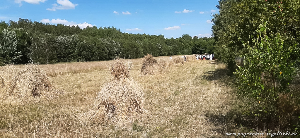 XVI Podlasko-Poleskie Spotkania niwne
                            „Ole po boru chodit” w Studziwodach