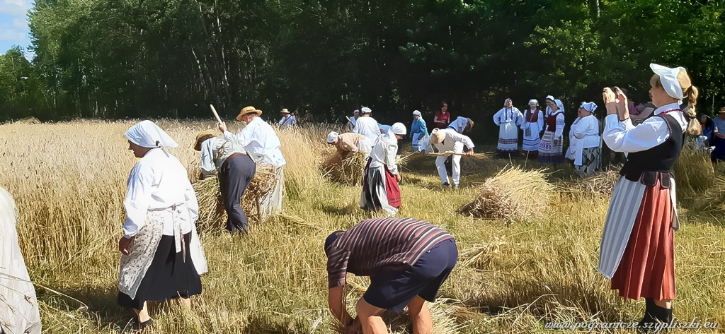 XVI Podlasko-Poleskie Spotkania niwne
                            „Ole po boru chodit” w Studziwodach