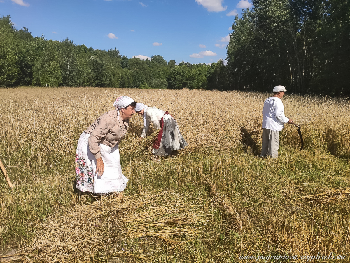 XVI
                            Podlasko-Poleskie Spotkania niwne „Ole po
                            boru chodit” w Studziwodach