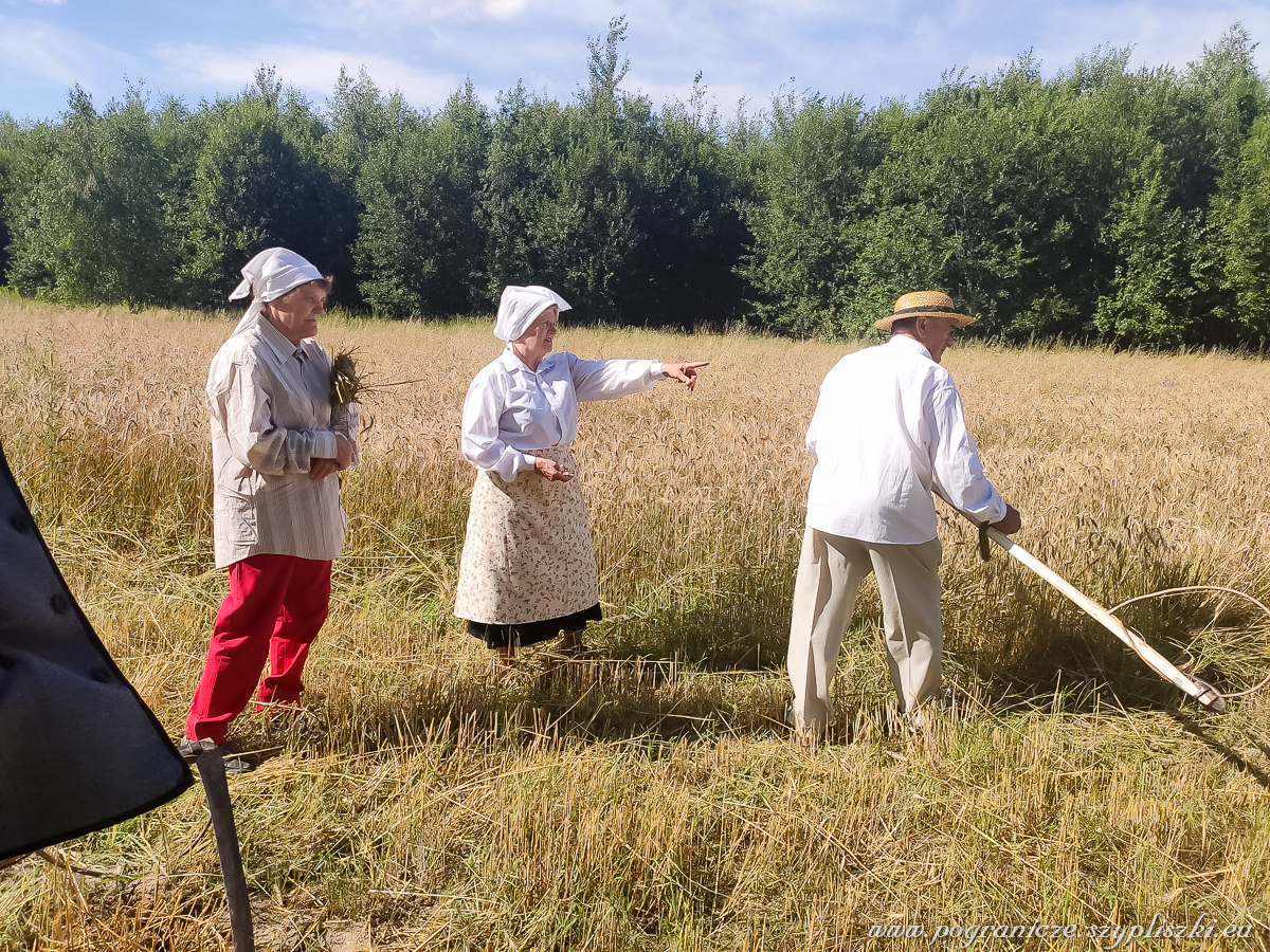 XVI
                            Podlasko-Poleskie Spotkania niwne „Ole po
                            boru chodit” w Studziwodach